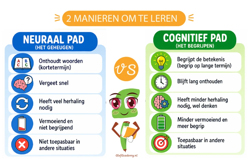 Een kleurrijke mindmap die het fundamentele verschil visualiseert tussen simpelweg Arabische letters onthouden (memorisatie) en de taal echt begrijpen, ontworpen voor ALEF Academy. De afbeelding toont twee hoofdtakken: 'Memorisatie' (rood/blauw), geassocieerd met 'oppervlakkige verwerking' en de 'vergeetcurve', en 'Begrip' (groen/oranje), dat leidt tot 'nieuwe neurale paden', 'actief gebruik' en 'langdurig leren' via 'dual coding'. Een handige visuele gids voor ouders die hun kinderen willen helpen bij het betekenisvol leren van Arabisch.