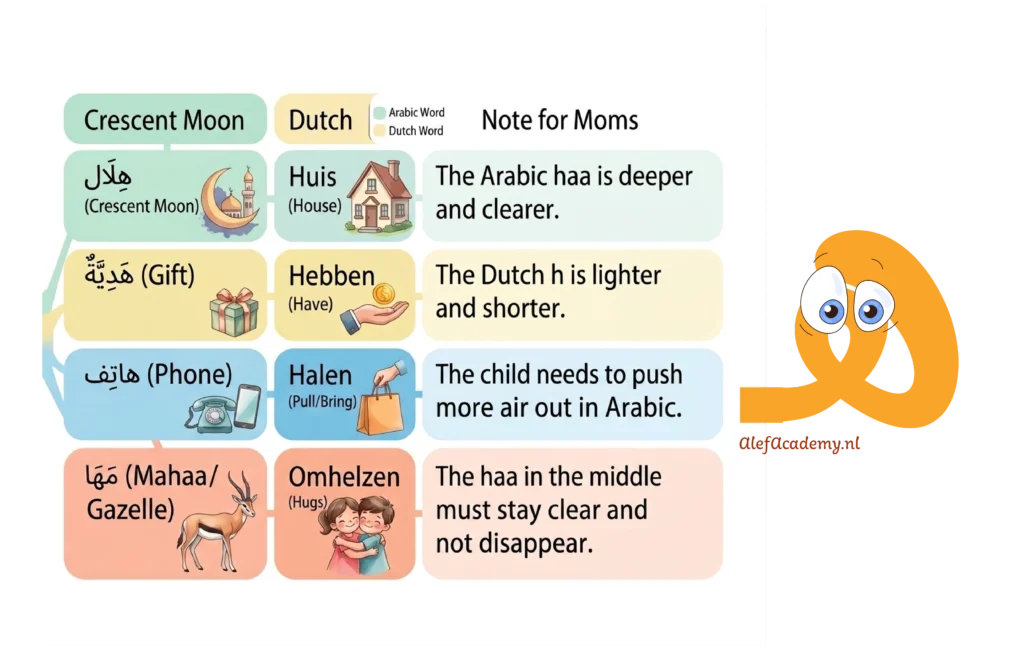 Voorbeelden van Arabische woorden met de letter He (هـ) zoals Hilal en Hadia, vergeleken met de Nederlandse uitspraak van de letter H.